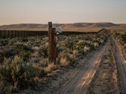 Immigration