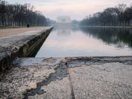 Reflection Pool Vandalism Case