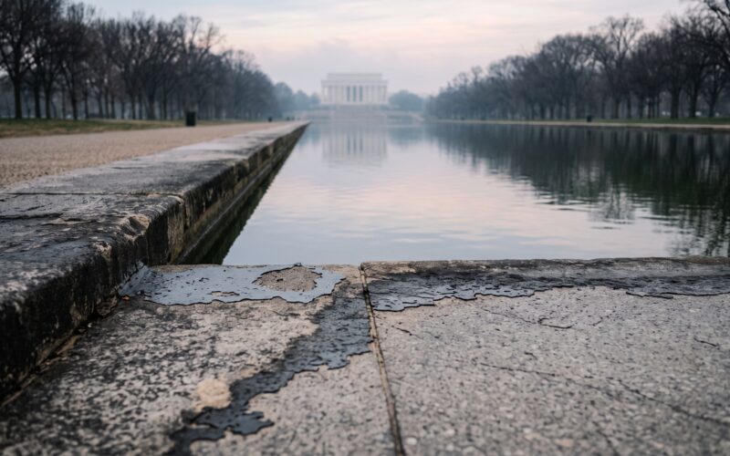 Reflection Pool Vandalism Case