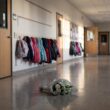 School Shooting