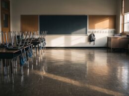 Immigration school enrollments down